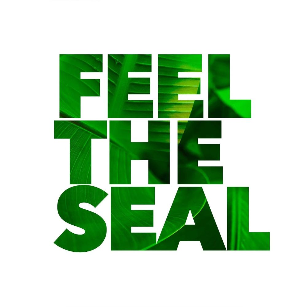 feel-the-seal_cd2ddfd8-4159-4a93-b389-8b7074eaee2d_1.jpg